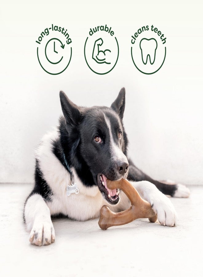 Benebone 2-Pack Bacon Wishbone/Rubber Bone Medium - Image 3